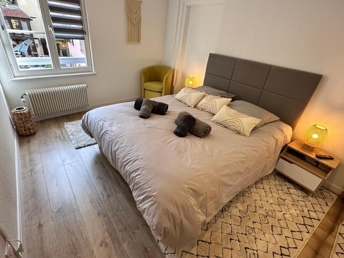 Le Bijou De Leyna Apartment Colmar Ngoại thất bức ảnh
